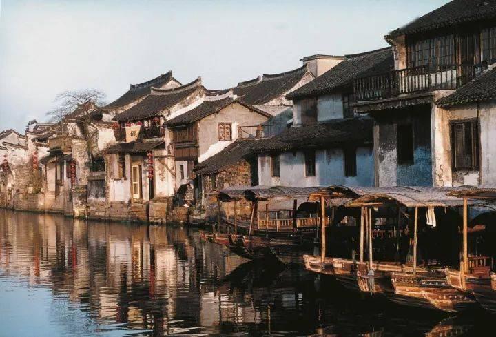救援大嘴鸟